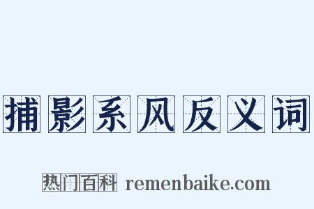 捕影系风反义词是什么意思的图片